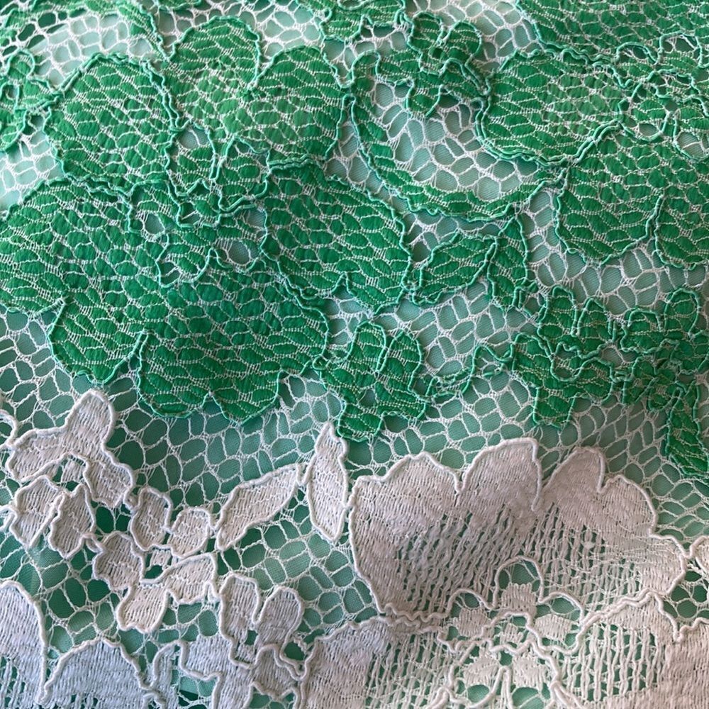 New York & company sleeveless green lace color block sheath dress - Picture 9 of 10